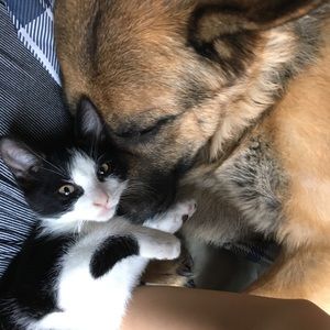 Meet your Posher, Kala